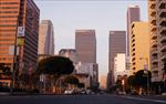 城市