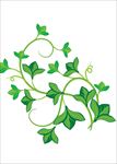 花草树木图片