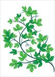 花草树木图片