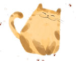 猫 动物 手绘 描描 卡通 脚