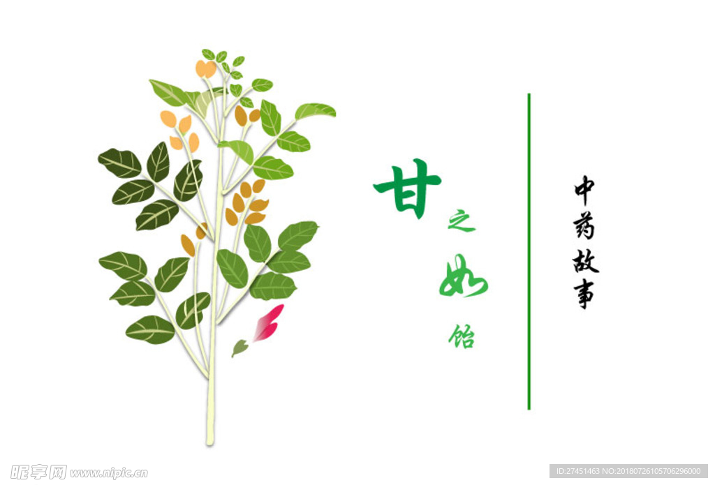 甘草矢量图