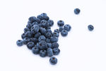 高清蓝莓图片素材