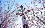 梅花