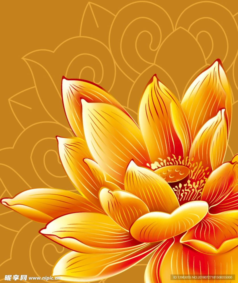 金色荷花