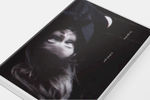 CD DVD 贴图模板