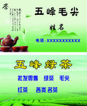 五峰毛尖