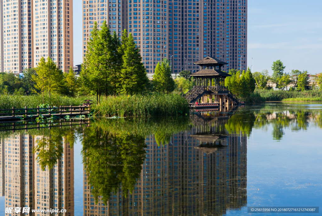 洋湖湿地公园