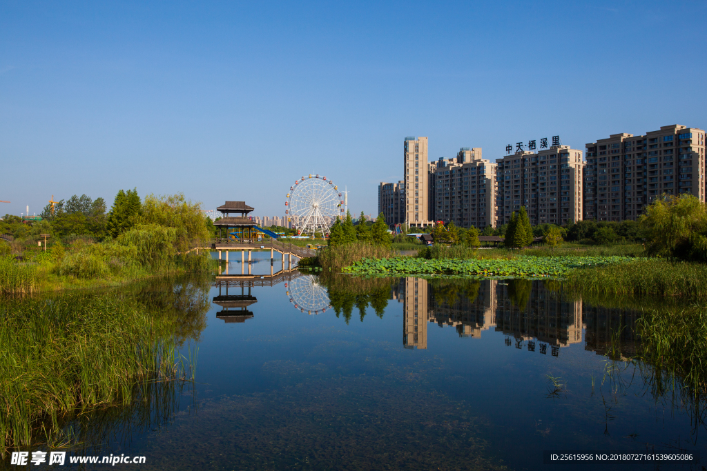 洋湖湿地公园