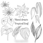 热带植被素材