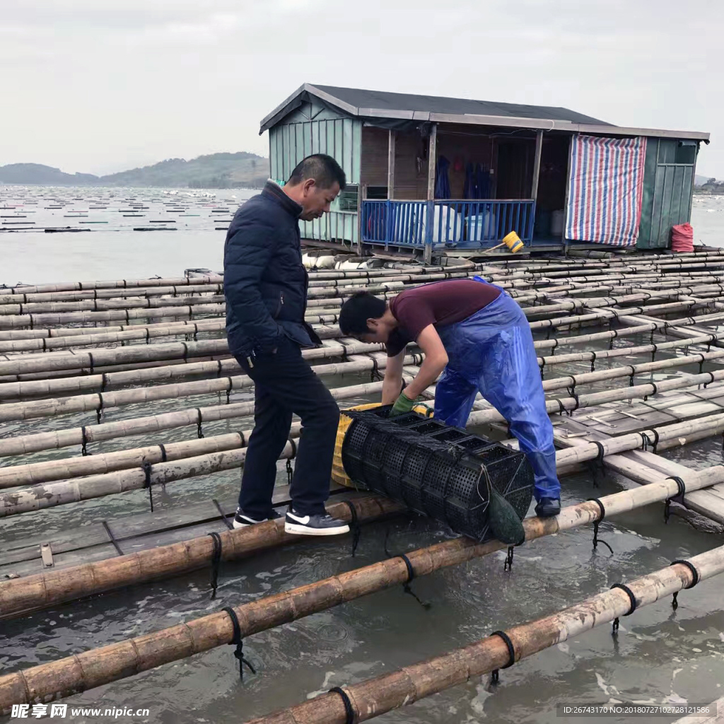 霞浦海参老翁养殖基地