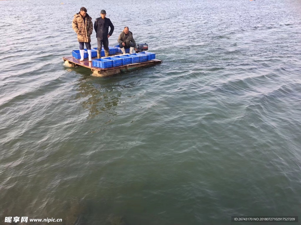 霞浦海参老翁养殖基地