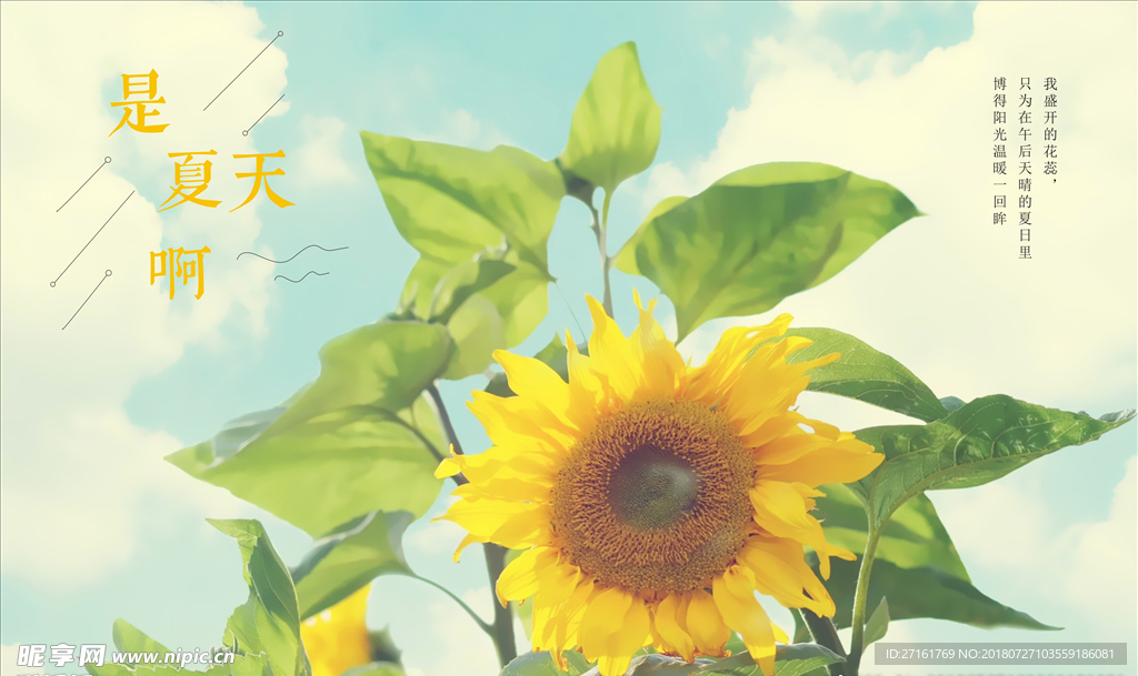 是夏天啊