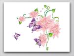鲜花图片