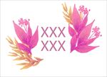 鲜花图片