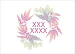 鲜花图片