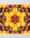 鸟图片