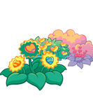 花环图片