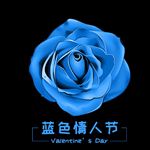 蓝色玫瑰