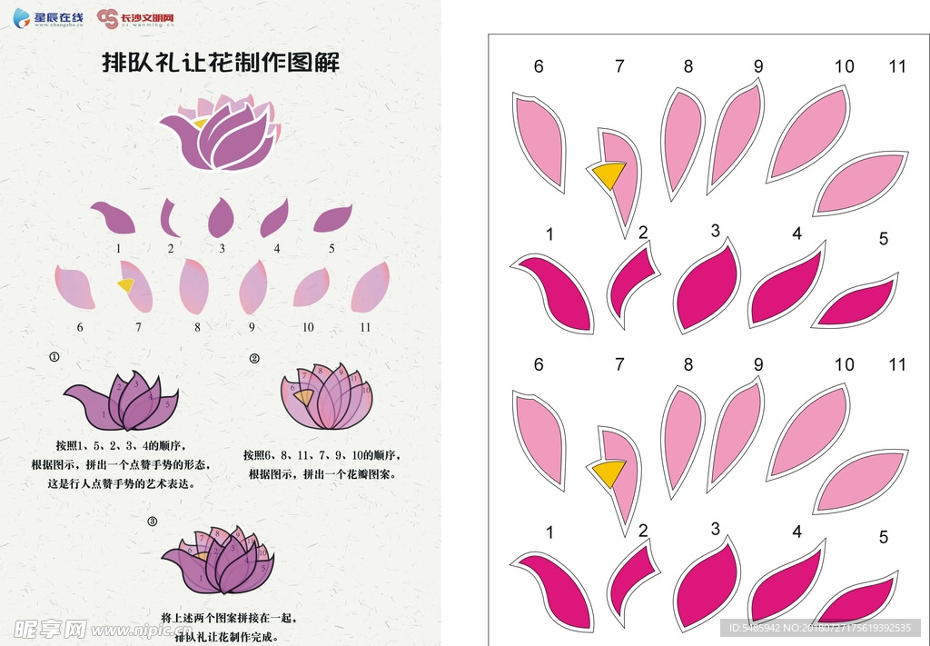 排队礼让花