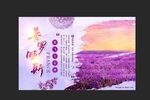 薰衣草旅游海报