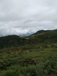 大顺峰
