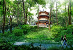 园林风景