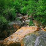山水