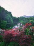 青山绿水