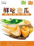 哈密瓜海报