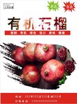 石榴海报