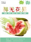 无花果海报