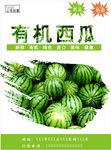 西瓜海报