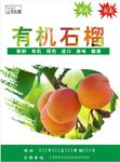 杏海报