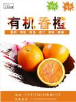 香橙海报