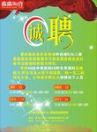 招聘红色经典设计铜版纸
