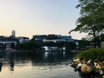 自然风景