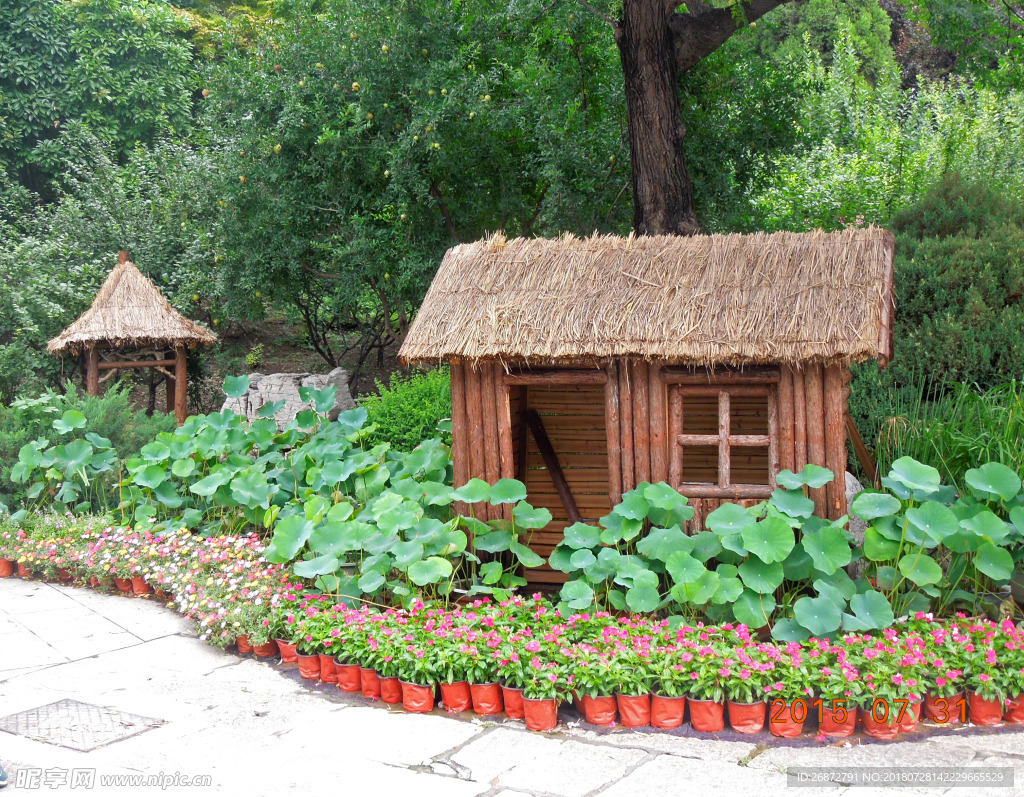 公园一角 大明湖内景   小屋