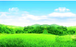 蓝天  草地