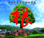 根