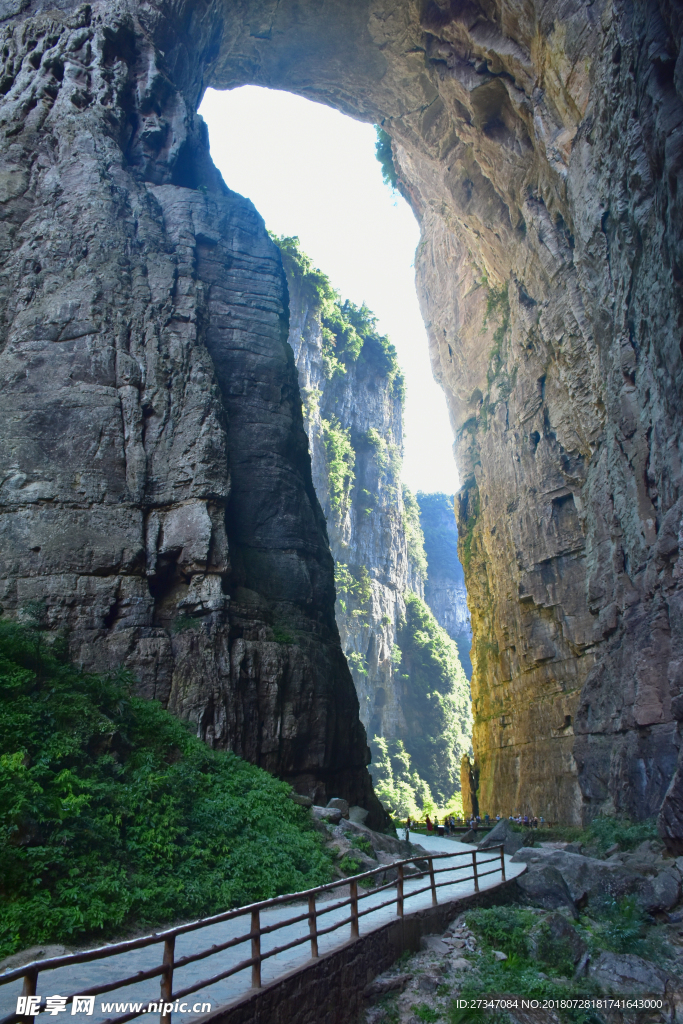 鲤鱼跃龙门