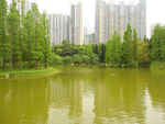 湖面倒影