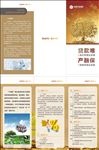 保险3折页