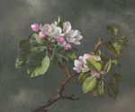 马丁·约翰森·海德作品