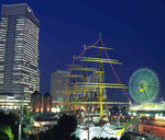 城市夜景 自然景观 建筑 风景