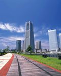 城市夜景 自然景观 建筑 风景