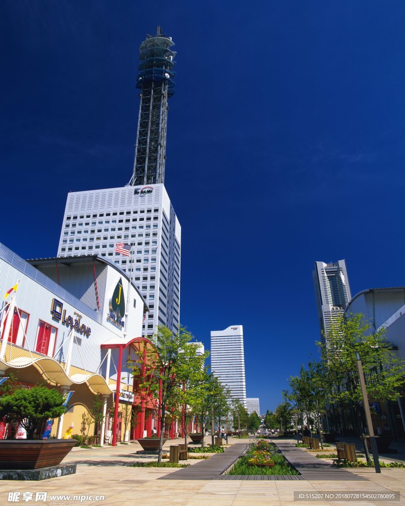 城市夜景 自然景观 建筑 风景