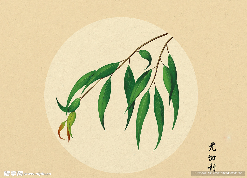 插画