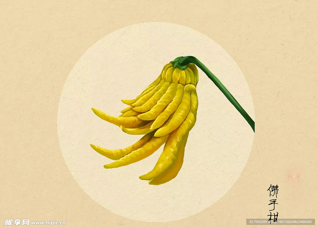 插画