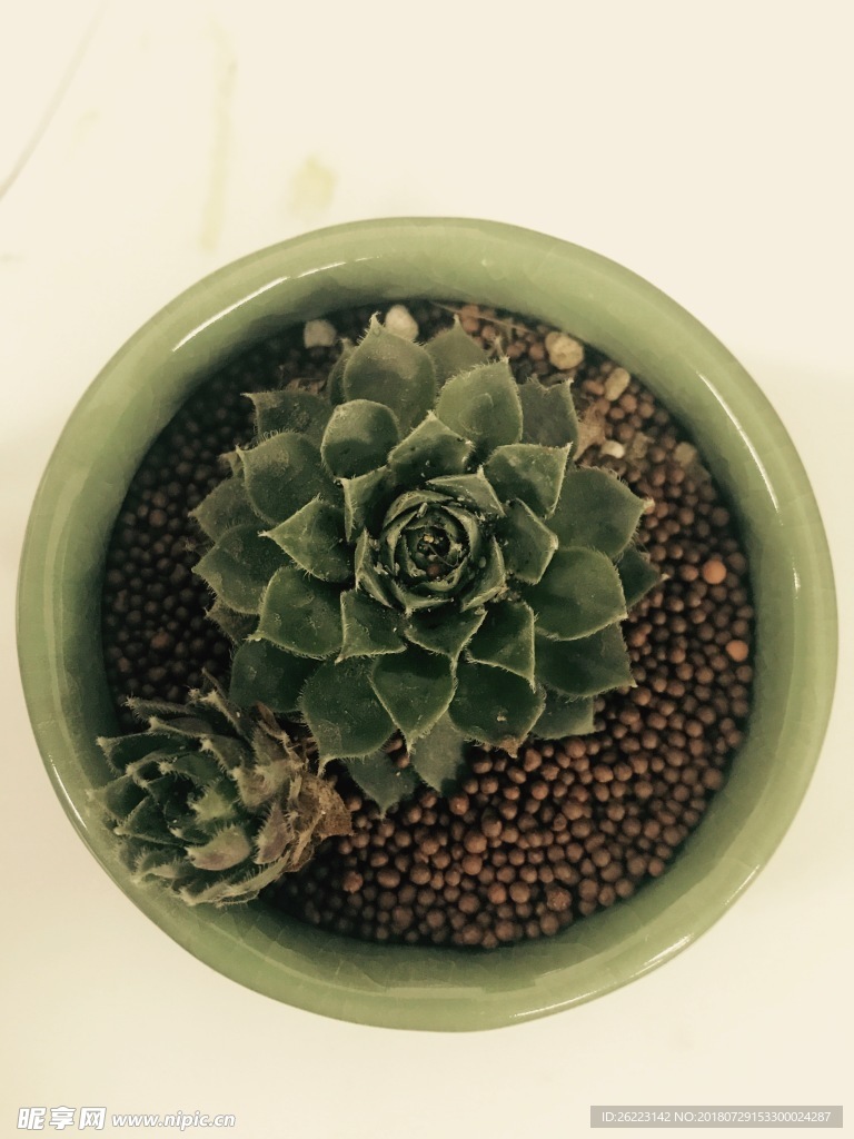 静