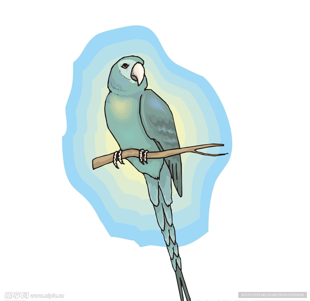 小鸟图片